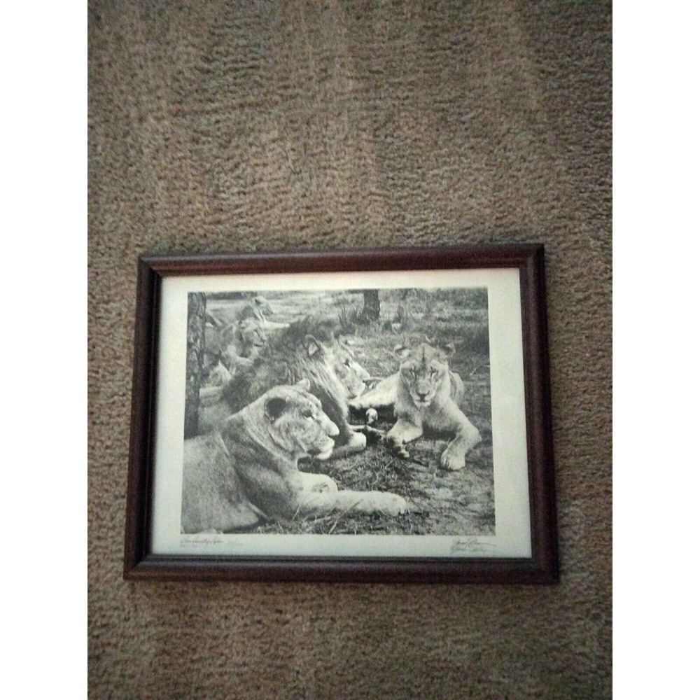 Lion Country Safari Numbered 50/150 Signed James F Brown Lithograph Art Print